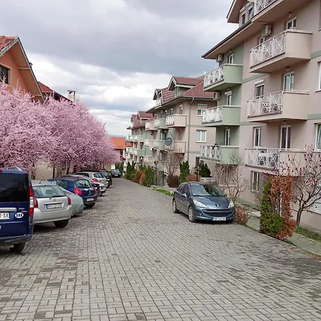 Banjski Raj Apartment *